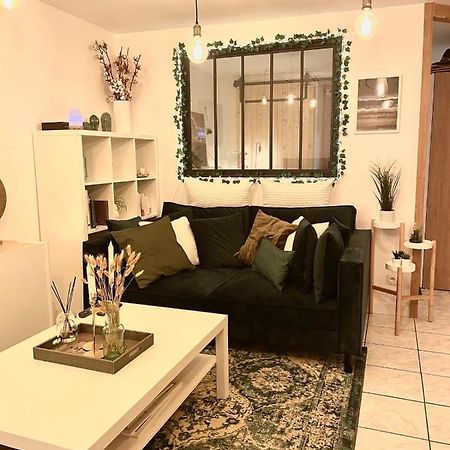 Petit Cocon Au Coeur D'Annecy Apartment Exterior photo
